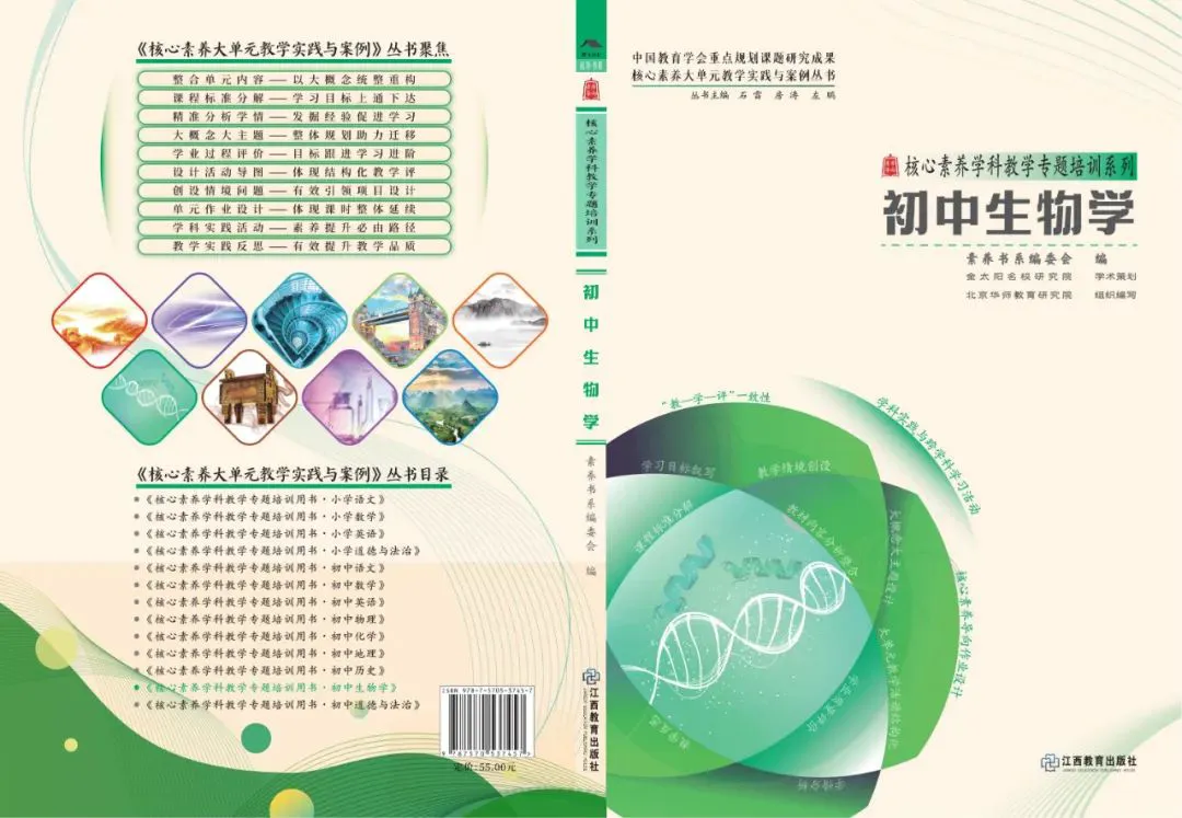 篮球协调训练的有效工具和设备推荐_2